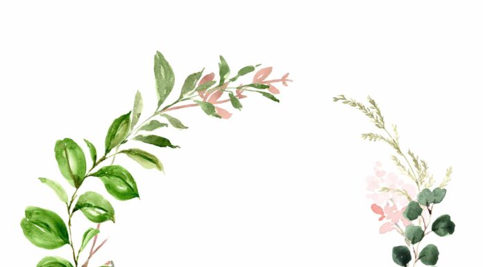 АКТИВАЦИЯ «ТРИ ГЕНЕРАЛА» 10 МАЯ