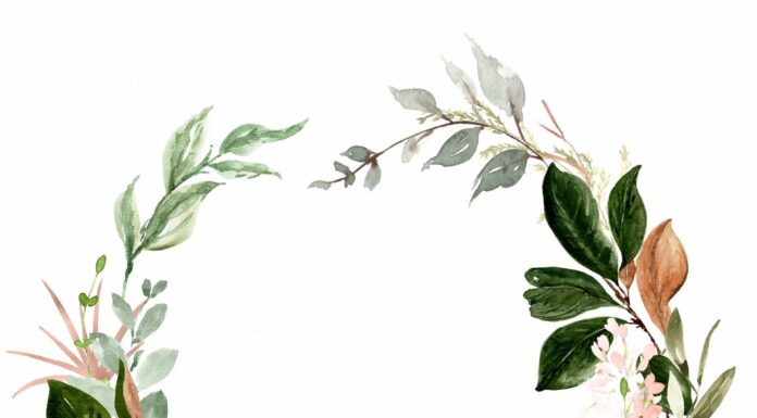 ПРОГУЛКА ДЛЯ ФИНАНСОВОЙ УДАЧИ, КАРЬЕРЫ, ЗДОРОВЬЯ 13 МАЯ