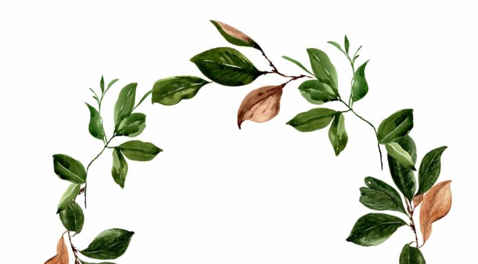 «ПТИЦА ПАДАЕТ В ГНЕЗДО» 17 МАЯ