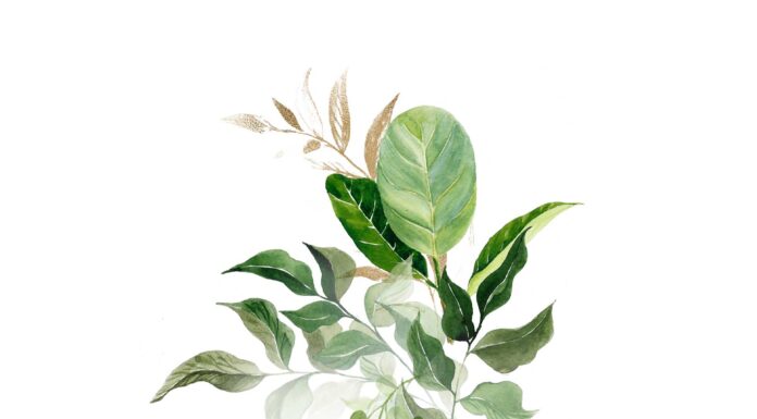 «ЗЕЛЕНЫЙ ДРАКОН ПОВОРАЧИВАЕТ ГОЛОВУ» 19 МАЯ