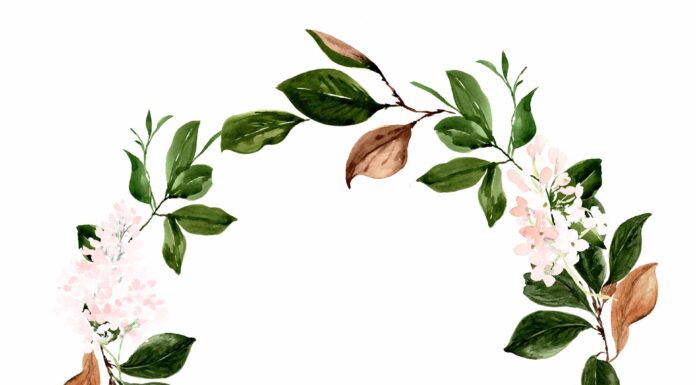 ПРОГУЛКА ДЛЯ ФИНАНСОВОЙ УДАЧИ, КАРЬЕРЫ, ОТНОШЕНИЙ, ЗДОРОВЬЯ 21 МАЯ