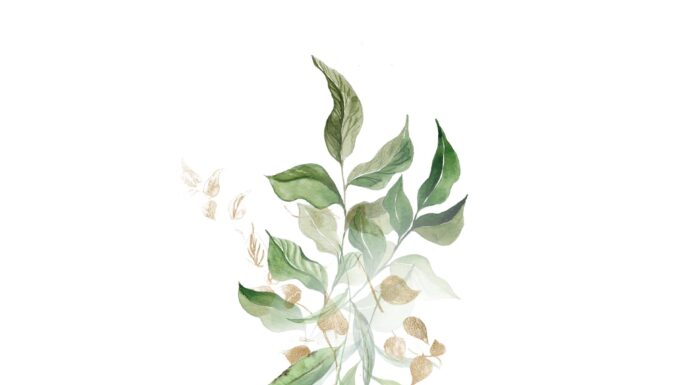 АКТИВАЦИЯ «ТРИ ГЕНЕРАЛА» 23 МАЯ