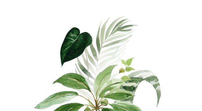 ПРОГУЛКА ДЛЯ ФИНАНСОВОЙ УДАЧИ, КАРЬЕРЫ, ОТНОШЕНИЙ 27 МАЯ