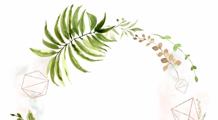 АКТИВАЦИЯ «ТРИ ГЕНЕРАЛА» 1 ИЮНЯ