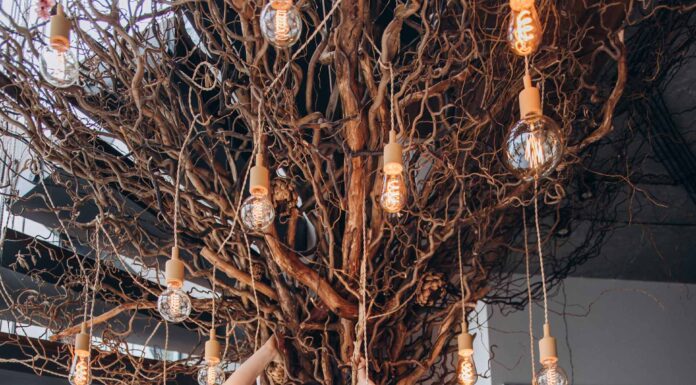 29. ПОИГРАЕМ?