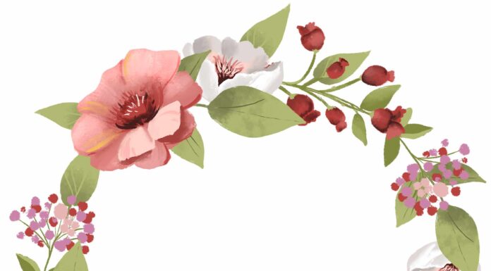 ПРОГУЛКА ДЛЯ ФИНАНСОВОЙ УДАЧИ, ЗДОРОВЬЯ 24 ИЮНЯ