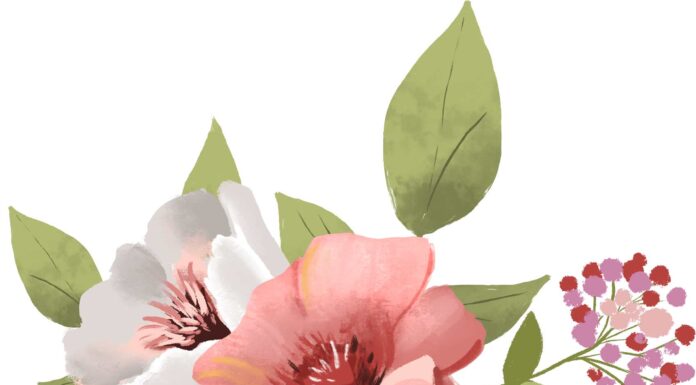 ПРОГУЛКА ДЛЯ ФИНАНСОВОЙ УДАЧИ, КАРЬЕРЫ, ОТНОШЕНИЙ 17 ИЮНЯ