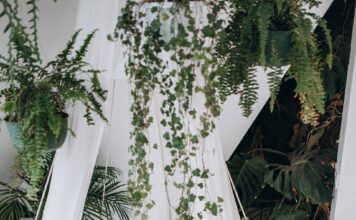 АКТИВАЦИИ НЕ РАБОТАЮТ? ЧТО ЖЕ НЕ ТАК?