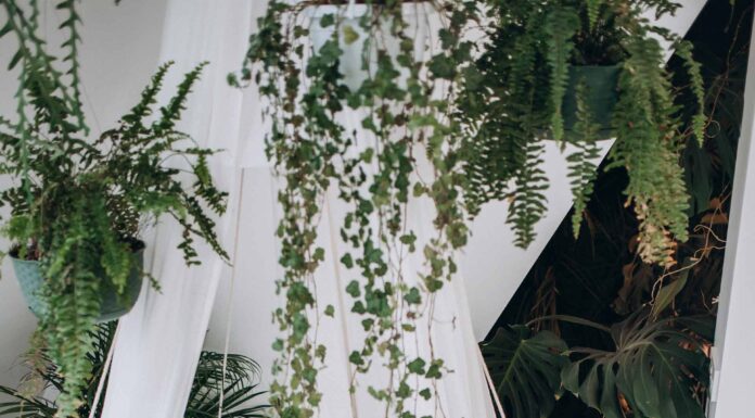 АКТИВАЦИИ НЕ РАБОТАЮТ? ЧТО ЖЕ НЕ ТАК?