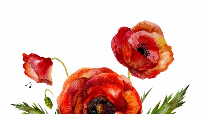 ПРОГУЛКА ДЛЯ ФИНАНСОВОЙ УДАЧИ, КАРЬЕРЫ, ОТНОШЕНИЙ 23 ИЮЛЯ