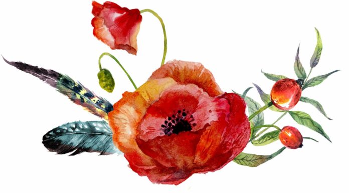 «ПТИЦА ПАДАЕТ В ГНЕЗДО» 22 ИЮЛЯ