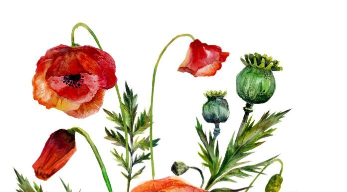 ПРОГУЛКА ДЛЯ ФИНАНСОВОЙ УДАЧИ, КАРЬЕРЫ, ОТНОШЕНИЙ, ЗДОРОВЬЯ 31 ИЮЛЯ