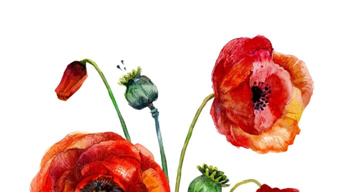 ПРОГУЛКА «НЕФРИТОВАЯ ДЕВА УДЕРЖИВАЮЩАЯ ВРАТА» 27 ИЮЛЯ