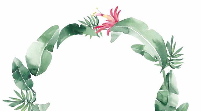 «ПТИЦА ПАДАЕТ В ГНЕЗДО» 16 АВГУСТА