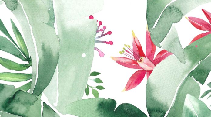 АКТИВАЦИЯ «ТРИ ГЕНЕРАЛА» 3 СЕНТЯБРЯ