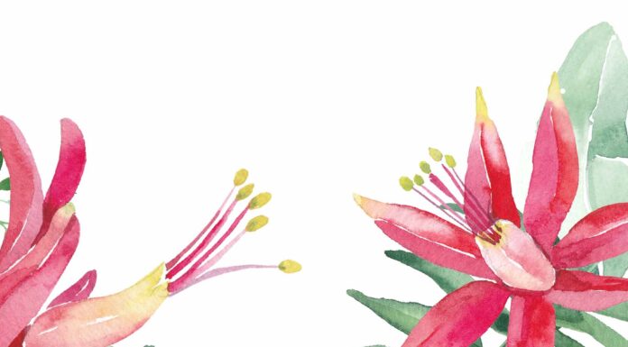 АКТИВАЦИЯ «ТРИ ГЕНЕРАЛА» 8 АВГУСТА