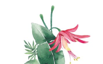 «ПТИЦА ПАДАЕТ В ГНЕЗДО» 24 АВГУСТА