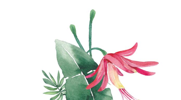 «ПТИЦА ПАДАЕТ В ГНЕЗДО» 24 АВГУСТА