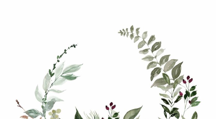 АКТИВАЦИЯ «ТРИ ГЕНЕРАЛА» 27 НОЯБРЯ