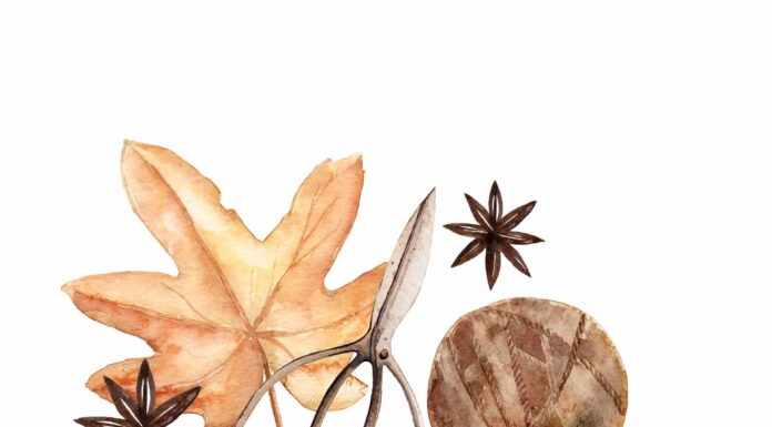 ПРОГУЛКА «НЕФРИТОВАЯ ДЕВА УДЕРЖИВАЮЩАЯ ВРАТА» 25 СЕНТЯБРЯ