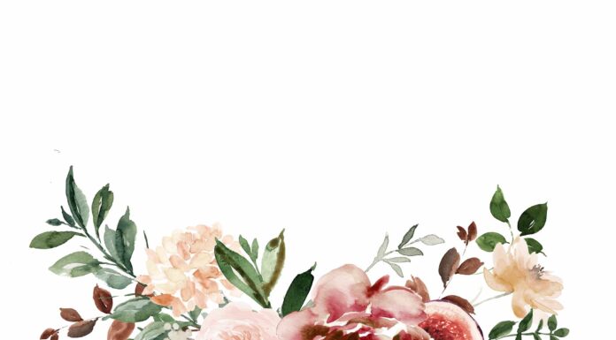 АКТИВАЦИЯ «ТРИ ГЕНЕРАЛА» 10 НОЯБРЯ