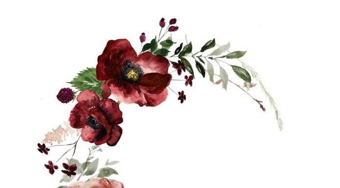 ПРОГУЛКА ДЛЯ ФИНАНСОВОЙ УДАЧИ, КАРЬЕРЫ, ОТНОШЕНИЙ, ЗДОРОВЬЯ 19 НОЯБРЯ