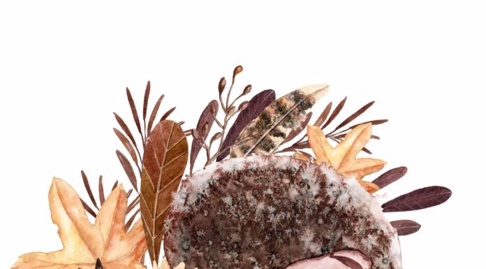 ПРОГУЛКА ДЛЯ ФИНАНСОВОЙ УДАЧИ, КАРЬЕРЫ, ОТНОШЕНИЙ, ЗДОРОВЬЯ 5 ОКТЯБРЯ