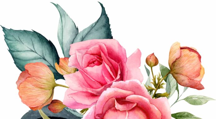 АКТИВАЦИЯ «ТРИ ГЕНЕРАЛА» 1 НОЯБРЯ