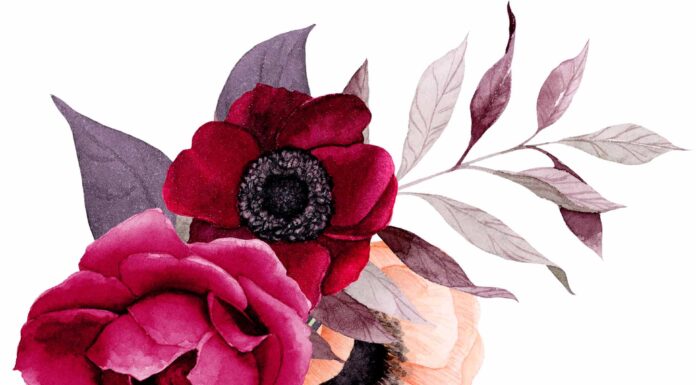 ПРОГУЛКА ДЛЯ ФИНАНСОВОЙ УДАЧИ, КАРЬЕРЫ, ЗДОРОВЬЯ 6 НОЯБРЯ