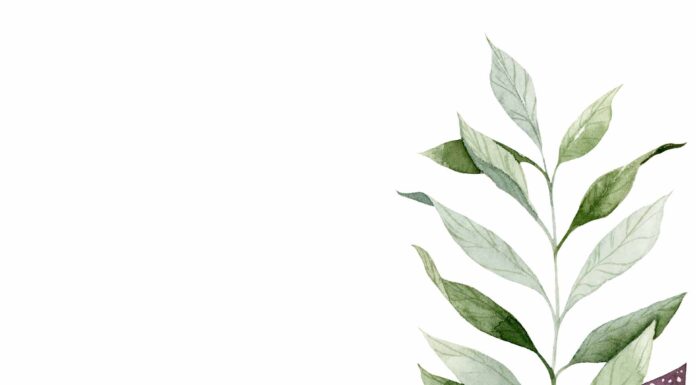 АКТИВАЦИЯ «ТРИ ГЕНЕРАЛА» 17 ОКТЯБРЯ