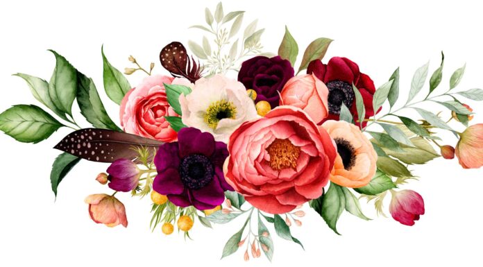 «ПТИЦА ПАДАЕТ В ГНЕЗДО» 13 ОКТЯБРЯ