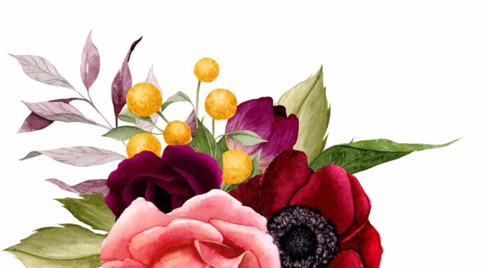 «ЗЕЛЕНЫЙ ДРАКОН ПОВОРАЧИВАЕТ ГОЛОВУ» 20 ОКТЯБРЯ