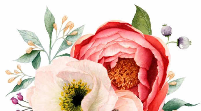 «ЗЕЛЕНЫЙ ДРАКОН ПОВОРАЧИВАЕТ ГОЛОВУ» 21 ОКТЯБРЯ