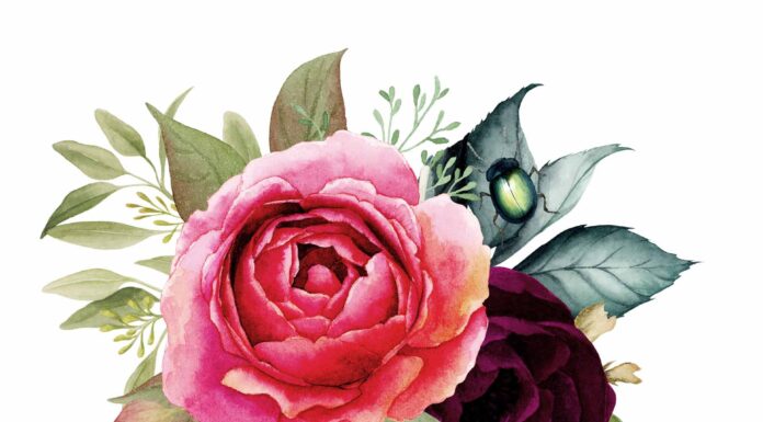 АКТИВАЦИЯ «ТРИ ГЕНЕРАЛА» 28 ОКТЯБРЯ