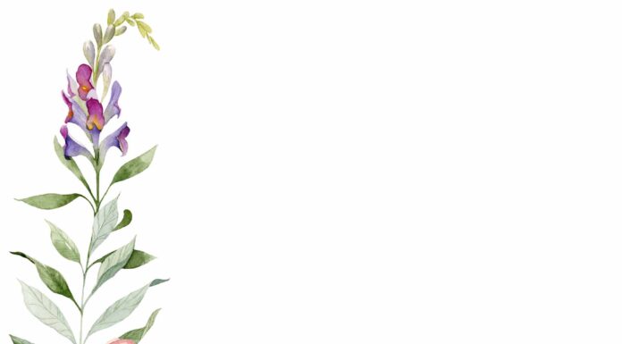 АКТИВАЦИЯ «ТРИ ГЕНЕРАЛА» 30 ОКТЯБРЯ