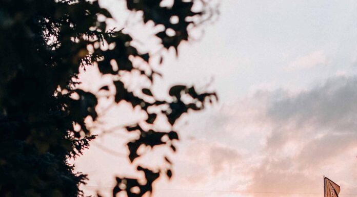 ЦИ МЕНЬ ОРАКУЛ: Массовое убийство в Пермском государственном университете