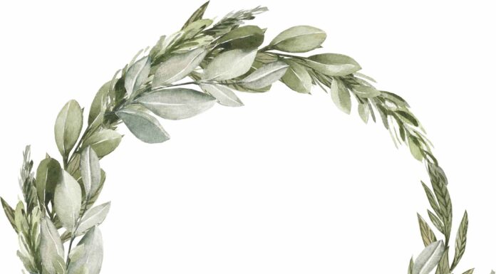 ПРОГУЛКА ДЛЯ ФИНАНСОВОЙ УДАЧИ, КАРЬЕРЫ, ОТНОШЕНИЙ, ЗДОРОВЬЯ 7 ДЕКАБРЯ