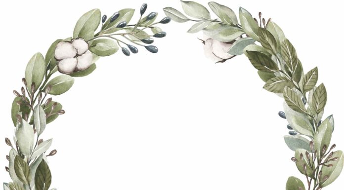 АКТИВАЦИЯ «ТРИ ГЕНЕРАЛА» 29 ДЕКАБРЯ