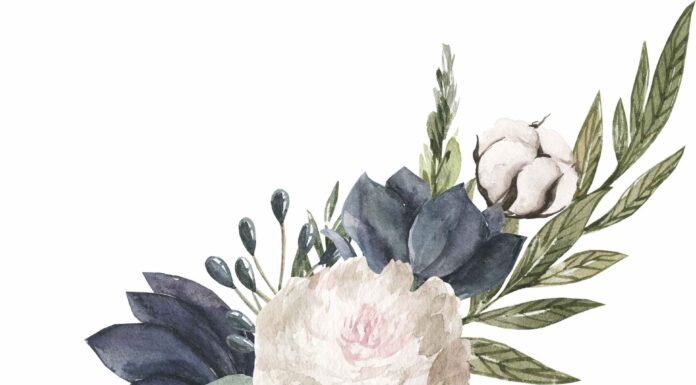 ПРОГУЛКА ДЛЯ ФИНАНСОВОЙ УДАЧИ, КАРЬЕРЫ, ОТНОШЕНИЙ, ЗДОРОВЬЯ 9 ДЕКАБРЯ