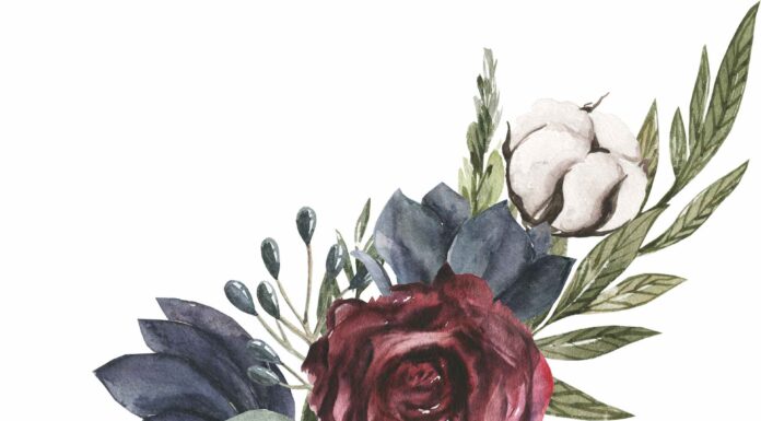 ПРОГУЛКА ДЛЯ КАРЬЕРЫ, ОТНОШЕНИЙ, ЗДОРОВЬЯ 23 ДЕКАБРЯ