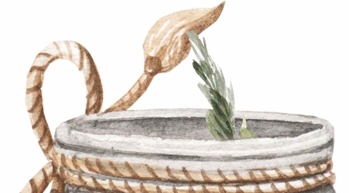 ПРОГУЛКА «НЕФРИТОВАЯ ДЕВА УДЕРЖИВАЮЩАЯ ВРАТА» 3 ЯНВАРЯ