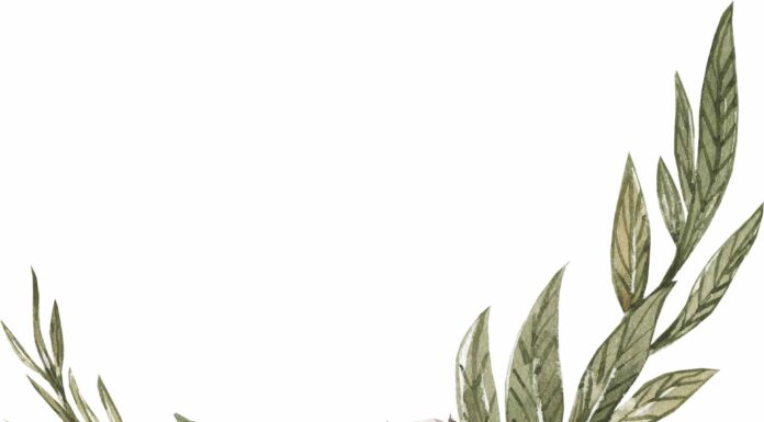 АКТИВАЦИЯ «ТРИ ГЕНЕРАЛА» 10 ДЕКАБРЯ