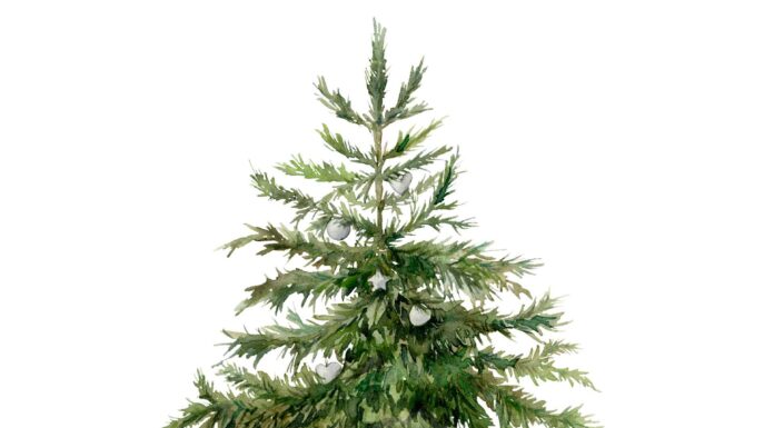 «ПТИЦА ПАДАЕТ В ГНЕЗДО» 5 ЯНВАРЯ