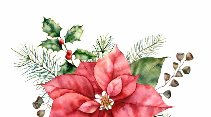 ПРОГУЛКА ДЛЯ ФИНАНСОВОЙ УДАЧИ, КАРЬЕРЫ, ОТНОШЕНИЙ 7 ЯНВАРЯ