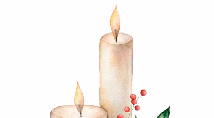 «ПТИЦА ПАДАЕТ В ГНЕЗДО» 23 ЯНВАРЯ