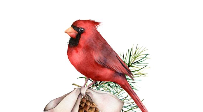 ПРОГУЛКА ДЛЯ ФИНАНСОВОЙ УДАЧИ, КАРЬЕРЫ, ОТНОШЕНИЙ, ЗДОРОВЬЯ 27 ЯНВАРЯ