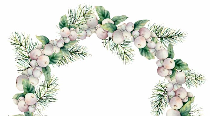 АКТИВАЦИЯ «ТРИ ГЕНЕРАЛА» 20 ЯНВАРЯ