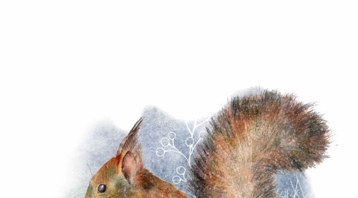 ПРОГУЛКА ДЛЯ ФИНАНСОВОЙ УДАЧИ, КАРЬЕРЫ, ОТНОШЕНИЙ 25 ЯНВАРЯ