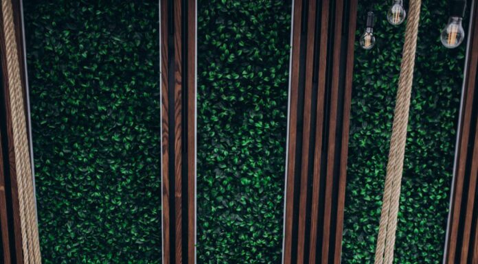 БАЦЗЫ: МУЖЧИНА ИЩЕТ В ЖЁНЫ КОПИЮ СВОЕЙ МАМЫ