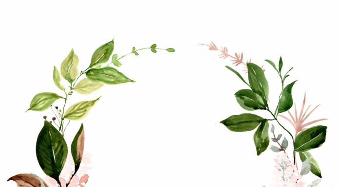 «ПТИЦА ПАДАЕТ В ГНЕЗДО» 2 МАЯ